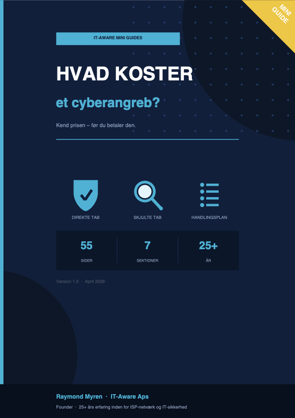Hvad koster et cyberangreb?